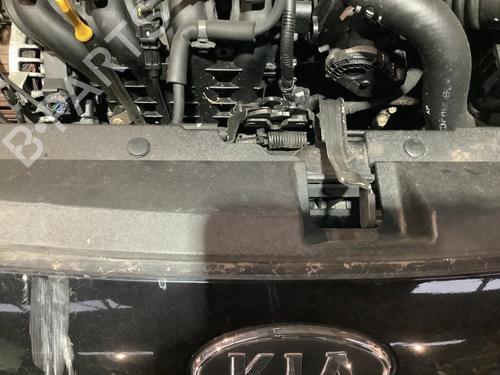 Used Hood lock KIA RIO III (UB) 1.25 CVVT (86 hp) 31321979