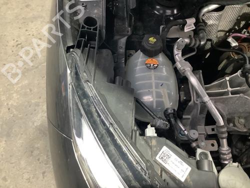 Used Expansion tank NISSAN JUKE (F16_) 1.0 (114 hp) 29698723
