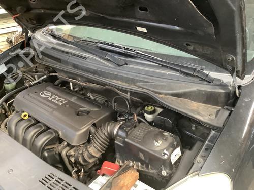Griglia sotto parabrezza Griglia sotto parabrezza TOYOTA COROLLA Verso (ZER_, ZZE12_, R1_) 1.8 (ZNR11_, ZNR11R) (129 hp) 36489119 36489119