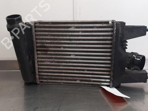 Used Intercooler Intercooler NISSAN JUKE (F15) 1.2 DIG-T (115 hp) 31678988 31678988
