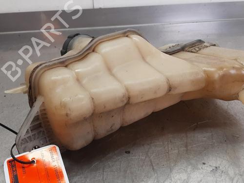 Ekpansionstank NISSAN JUKE (F15) 1.2 DIG-T (115 hp) 31678980