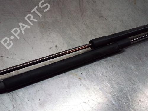 Tailgate lift support NISSAN QASHQAI I (J10, NJ10) 1.6 | BP22162964C138 