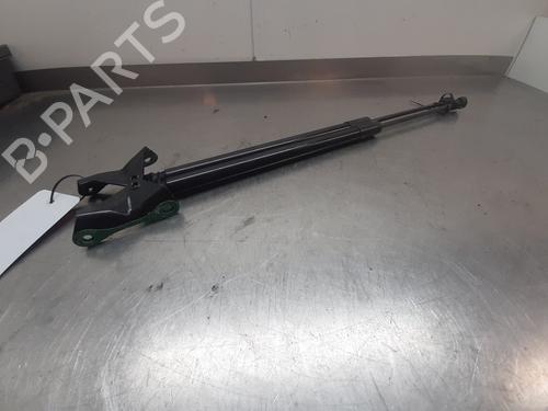 Tailgate lift support TOYOTA COROLLA Estate (_E21_) 1.8 Hybrid (ZWE211W) | BP22170399C138