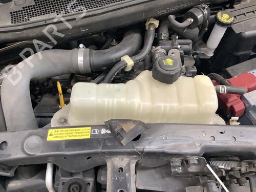 Used Expansion tank NISSAN JUKE (F15) 1.2 DIG-T (115 hp) 25129686