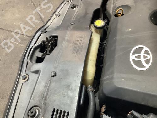 Expansion tank TOYOTA COROLLA Verso (ZER_, ZZE12_, R1_) 2.2 D-4D (AUR10_, AUR10R) | BP29812239C120 
