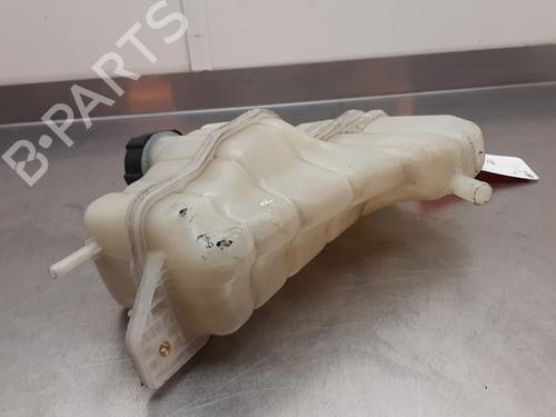 Expansion tank NISSAN JUKE (F15) 1.2 DIG-T | BP25129686C120