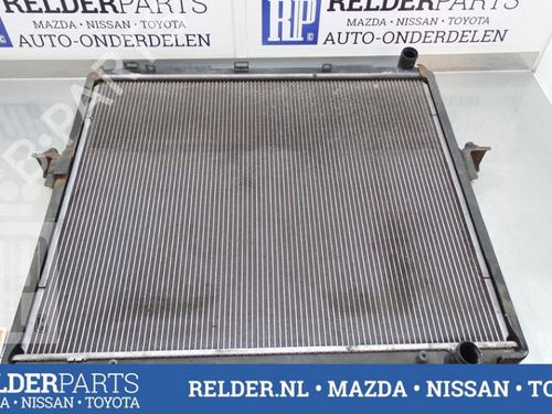 Køler NISSAN PATHFINDER III (R51) 2.5 dCi 4WD (163 hp) 22150990