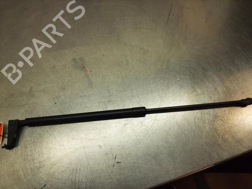 Tailgate lift support NISSAN X-TRAIL I (T30) 2.2 Di 4x4 | BP22135388C138 
