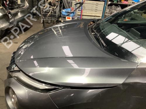 Hood NISSAN JUKE (F16_) 1.0 | BP29698737C1