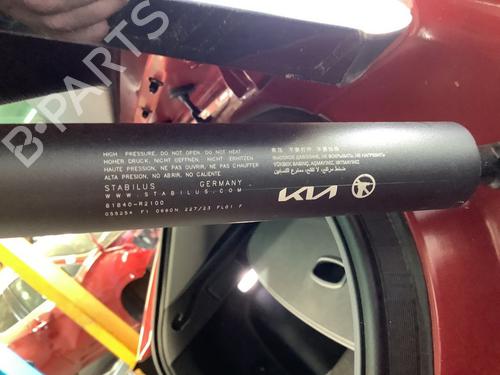 Tailgate lift support KIA SPORTAGE V (NQ5) 1.6 T-GDi Hybrid | BP25935323C138 