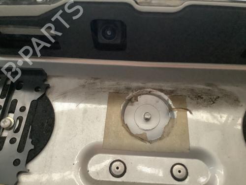 Camera NISSAN X-TRAIL III (T32_, T32R, T32RR) 1.6 DIG-T (T32) | BP22172584E14 