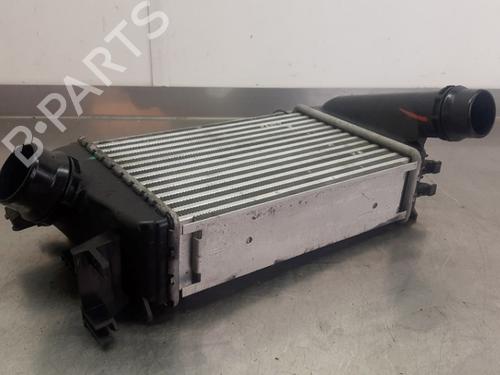 Intercooler NISSAN MICRA V (K14) 1.0 IG-T 100 | BP25129807M30 - Image 2