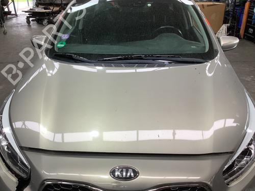 Used Hood Hood 39637619 39637619