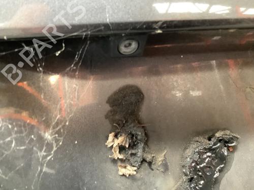 Camera TOYOTA PRIUS Liftback (_W2_) 1.5 Hybrid (NHW20_, NHW20R) | BP27476257E14 
