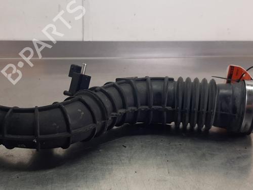 Used Pipe Pipe NISSAN QASHQAI II (J11, J11_) 1.2 DIG-T (115 hp) 36489184 36489184