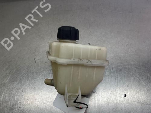 Expansion tank NISSAN QASHQAI / QASHQAI +2 I (J10, NJ10, JJ10E) 1.6 | BP28173517C120 