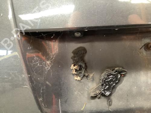Used Camera TOYOTA PRIUS Liftback (_W2_) 1.5 Hybrid (NHW20_, NHW20R) (112 hp) 27476257