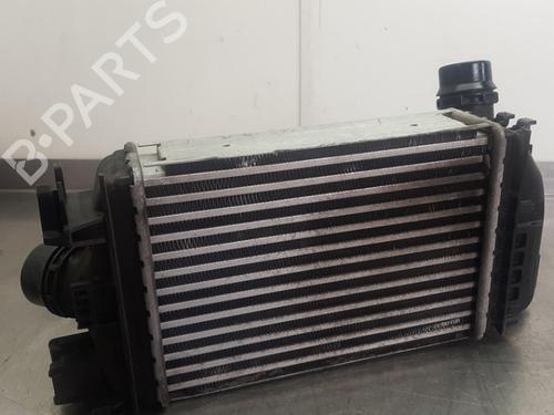 Intercooler NISSAN MICRA V (K14) 1.0 IG-T 100 | BP25129807M30 - Image 3