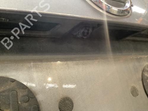 Used Camera Camera NISSAN JUKE (F15) 1.2 DIG-T (115 hp) 25129734 25129734