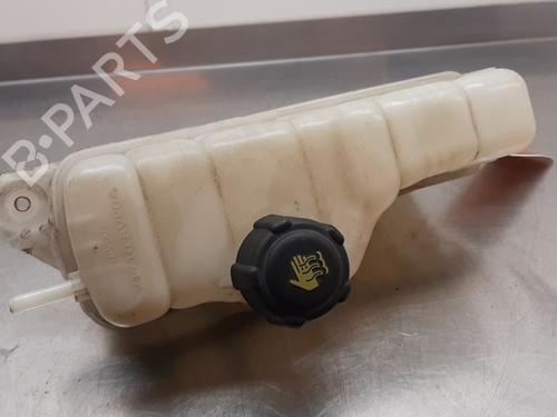 Expansion tank NISSAN JUKE (F15) 1.2 DIG-T | BP25129686C120