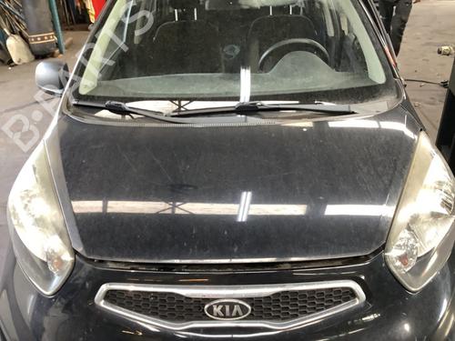 Used Hood KIA PICANTO II (TA) 1.2 (85 hp) 24623086