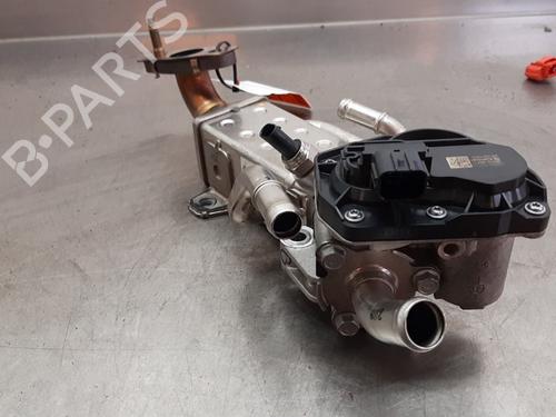 Egr KIA SPORTAGE V (NQ5) 1.6 T-GDi Hybrid | BP25935364M69 