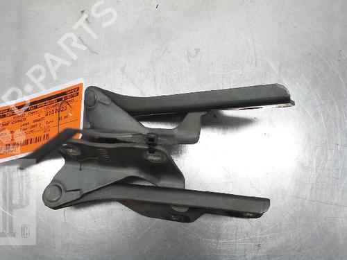 Used Hinge/Door check strap NISSAN PATHFINDER III (R51) 2.5 dCi 4WD (163 hp) 22150969