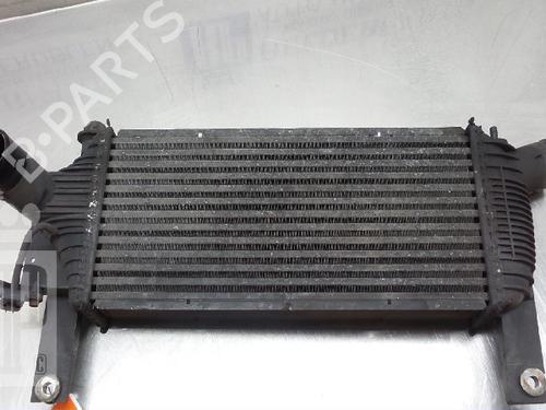 Intercooler NISSAN PATHFINDER III (R51) 2.5 dCi 4WD (163 hp) 22150989