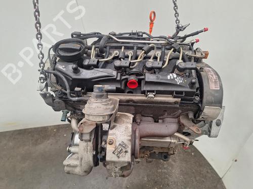 Engine SKODA OCTAVIA II (1Z3) 1.6 TDI | BP37702809M1  - Image 5