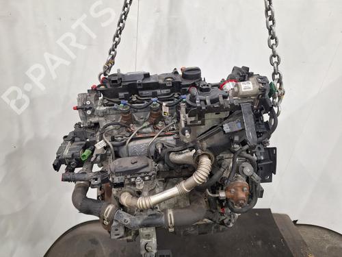 Engine CITROËN BERLINGO Box Body/MPV (B9) 1.6 HDi / BlueHDi 75 | BP29603737M1 