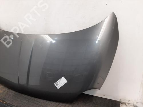 Hood FIAT 500 (312_) 1.2 (312AXA1A) | BP29445091C1 