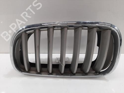 grille-bmw-x5-e70-2006-2007-2008-2009-2010-2011-2012-2013-34149687 main image