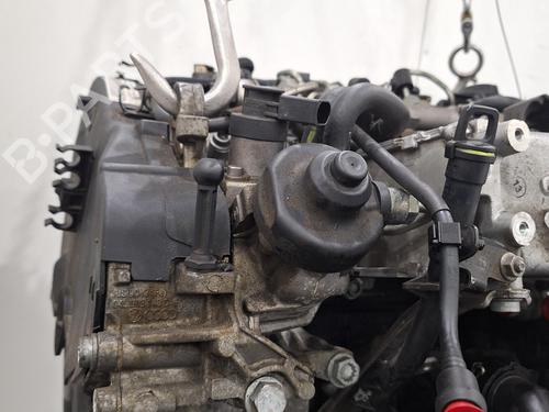 Motor AUDI A4 B9 (8W2, 8WC) 2.0 TDI | BP31769219M1 