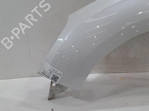 Left front fenders CITROËN DS4 (NX_) 1.6 VTi 120 | BP29809829C41 