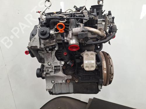 Engine VW GOLF VI Convertible (517) 2.0 TDI | BP29398332M1 