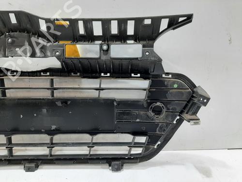 Grille HYUNDAI i20 II (GB, IB) 1.0 T-GDI | BP29988590C40