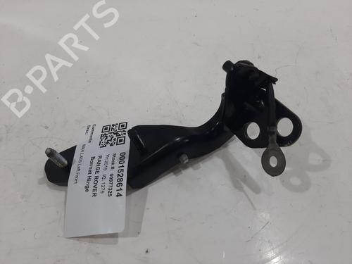 Used Hinge/Door check strap LAND ROVER RANGE ROVER IV (L405) 4.4 SDV8 4x4 (340 hp) 29445081
