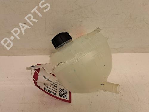 expansion-tank-nissan-qashqai-iii-j12-2021-26804796 main image
