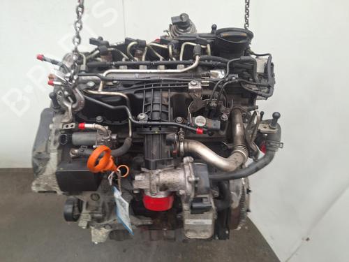 Engine SKODA OCTAVIA II (1Z3) 1.6 TDI | BP37702809M1  - Image 6