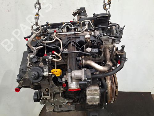 Engine VW TIGUAN (5N_) 2.0 TDI | BP36316177M1  - Image 6
