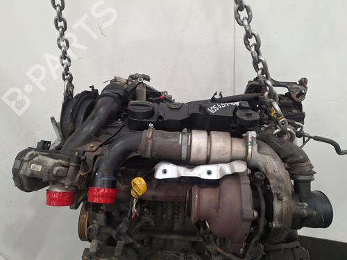 Engine FORD C-MAX II (DXA/CB7, DXA/CEU) 1.6 TDCi | BP37641227M1  - Image 6