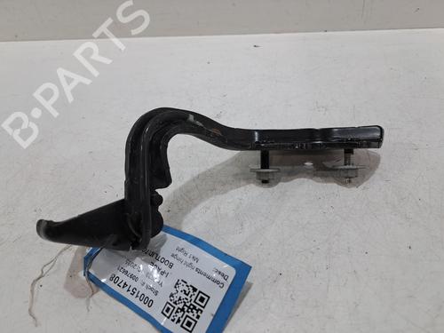Hinge/Door check strap JAGUAR I-PACE (X590) EV400 AWD | BP29236403C146 