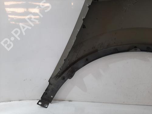 Left front fenders VW TIGUAN (AD1, AX1) 2.0 TSI 4motion | BP29524555C41 
