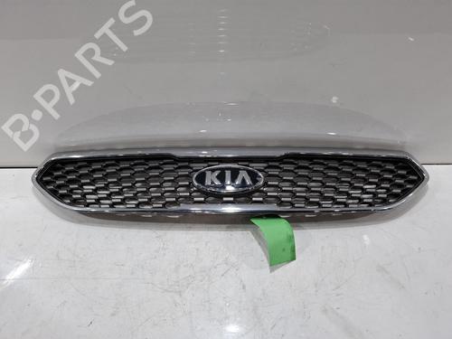 Used Grille Grille 38078467 38078467