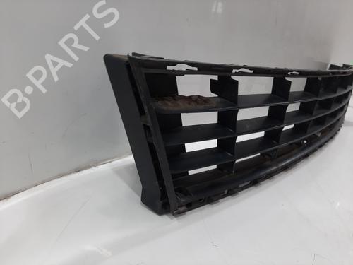 Grille RENAULT CLIO III (BR0/1, CR0/1) 1.2 16V (BR02, BR0J, BR11, CR02, CR0J, CR11) | BP29417259C40 