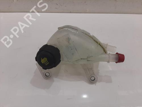 Used Expansion tank Expansion tank NISSAN QASHQAI III (J12) 1.5 VC-T e-Power (190 hp) 36289807 36289807