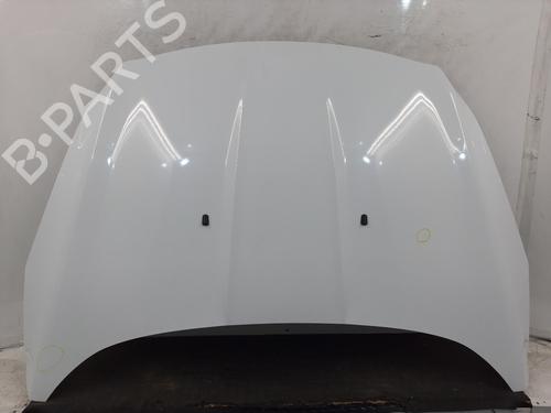 Used Hood FORD KUGA II (DM2) 2.0 TDCi 4x4 (163 hp) 29445022