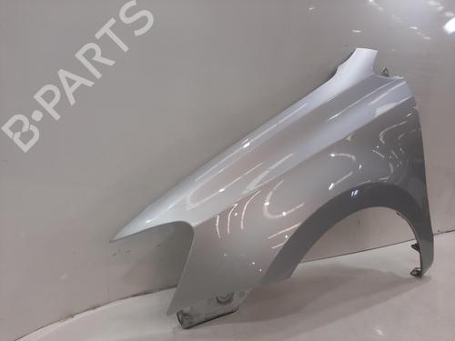 Left front fenders VW POLO V (6R1, 6C1) 1.2 | BP29445082C41 