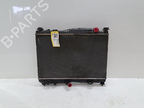 Radiateur à eau Radiateur à eau FORD FIESTA VI (CB1, CCN) 1.0 EcoBoost (100 hp) 34206320 34206320