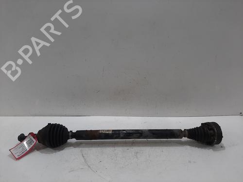 Otra VW PASSAT B7 Variant (365) 1.6 TDI (105 hp) 31033027